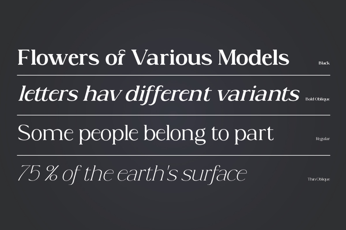 Acosta - Serif Font Family, a Serif Font by Zane Studio (Photo 8 of 11)