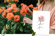 Inspired by The Garden, an Animal Illustration by NiKO (Thumbnail 4 of 17)