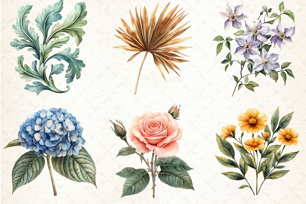 Vintage Botanical Clipart, an Illustration by Libby Wishes (Photo 5 of 6)