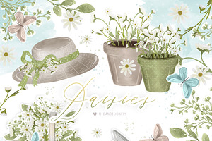 Daisies Design