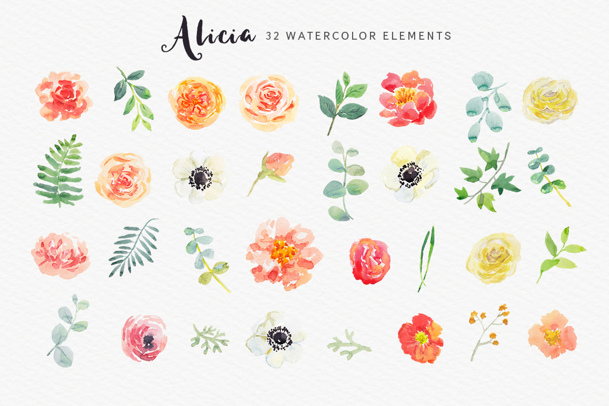 Alicia watercolor floral collection, an Illustration by OJardin (Photo 4 of 5)
