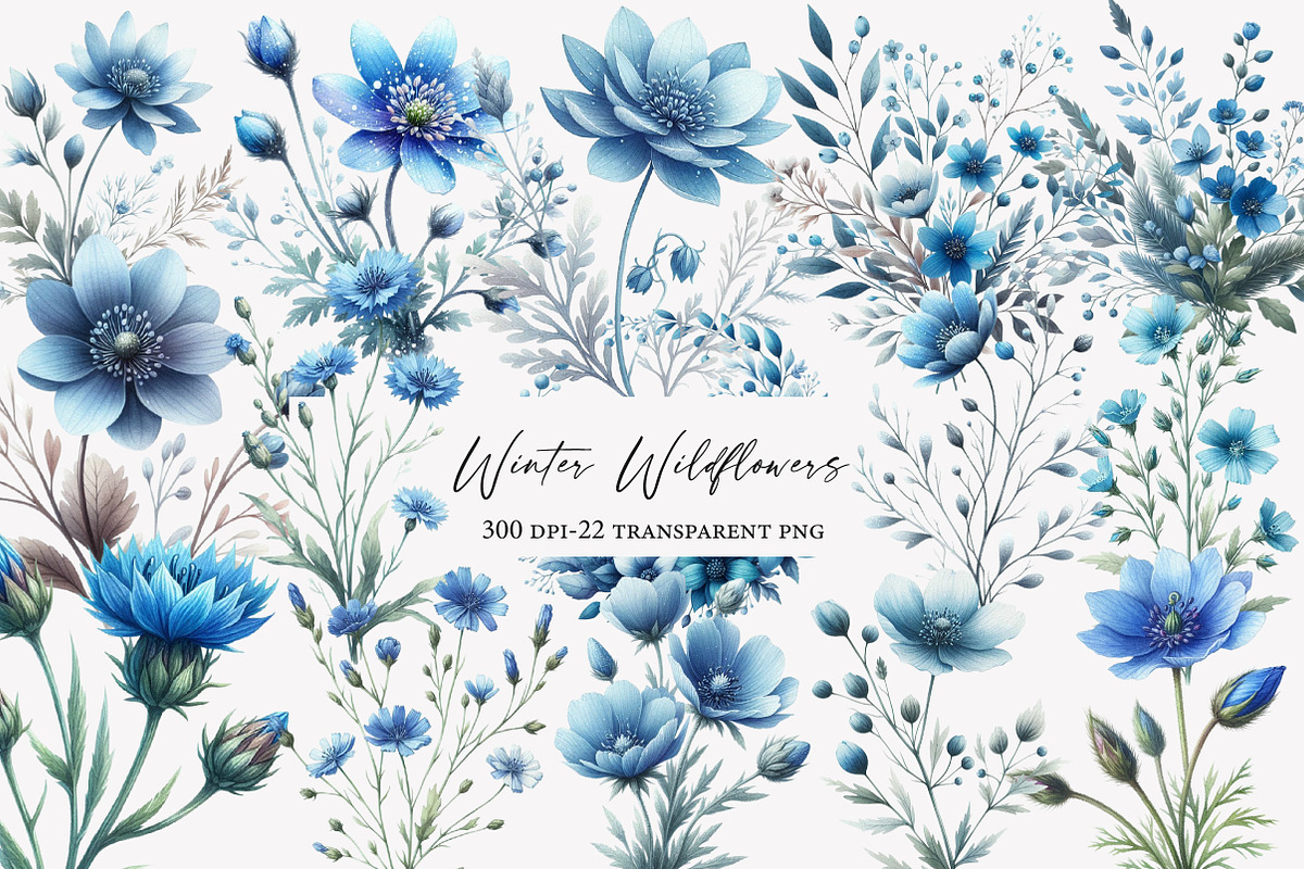 Winter Wildflowers Clipart, an Illustration by Designworld (Photo 1 of 5)