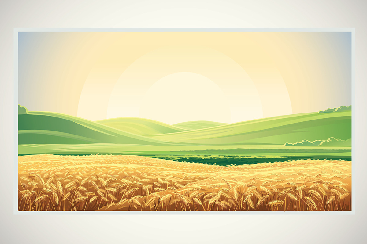 Rural landscape with wheat field, a Food Illustration by Countryside life (Photo 3 of 8)