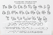 Winterland, a Handwritten Font by FreshTypeINK (Thumbnail 6 of 7)