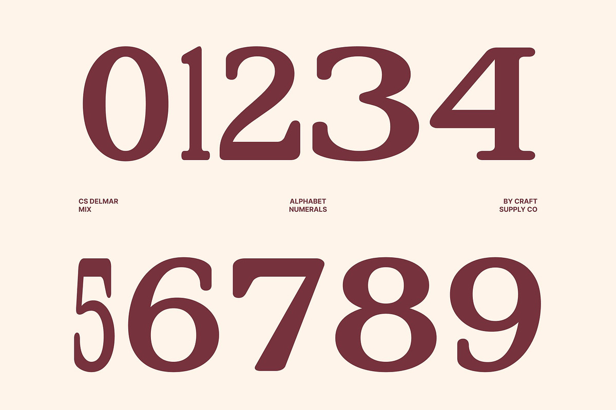 CS Delmar Mix, a Serif Font by Craft Supply Co. (Photo 5 of 8)