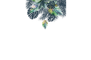 Palm leaves background for text, an Illustration by Nenahliadava Design