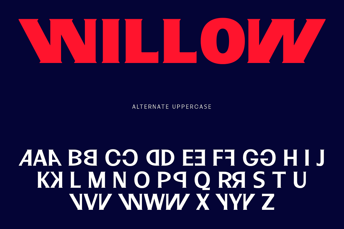 Campinas Typefamily, a Serif Font by Jehoo Creative (Photo 8 of 9)