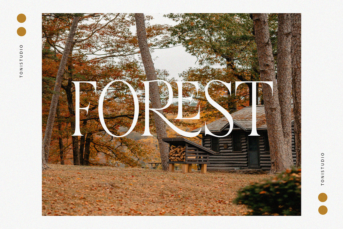 CREMISS || Font Duo, a Serif Font by ToniStudio (Photo 7 of 11)