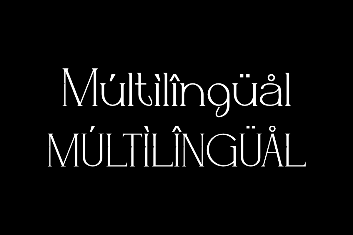 Cheqah - Modern Brand Font, a Serif Font by Iqsiart Studio (Photo 5 of 13)