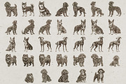 215 Dog Illustrations, an Animal Illustration by Nocturnal Wolf (Thumbnail 13 of 14)