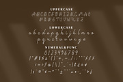Emillam Script Fonts, a Script Font by mahstudios (Thumbnail 12 of 15)