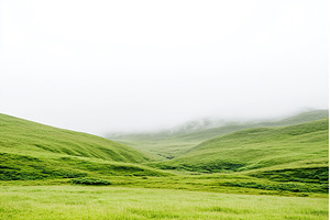 Rolling Green Hills Covered in Mist, a Nature Photo by Lermont51