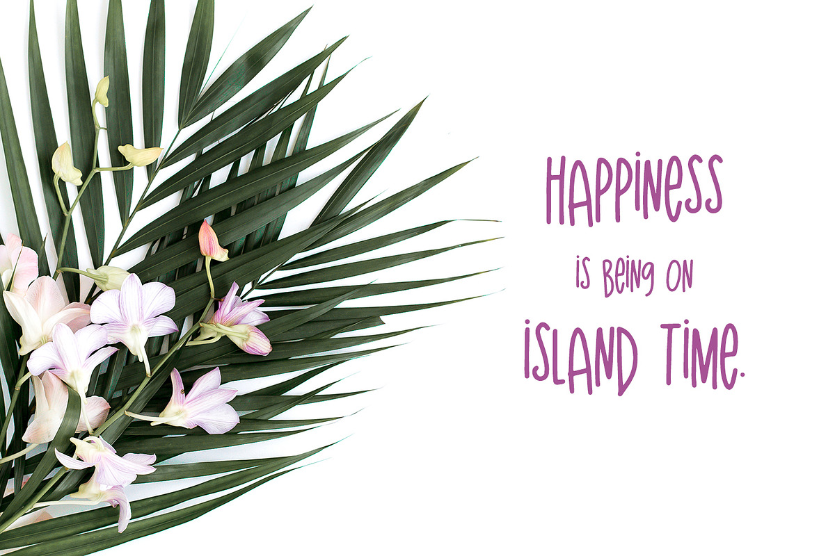 The Island Sans, a Sans Serif Font by Beck McCormick (Photo 2 of 6)