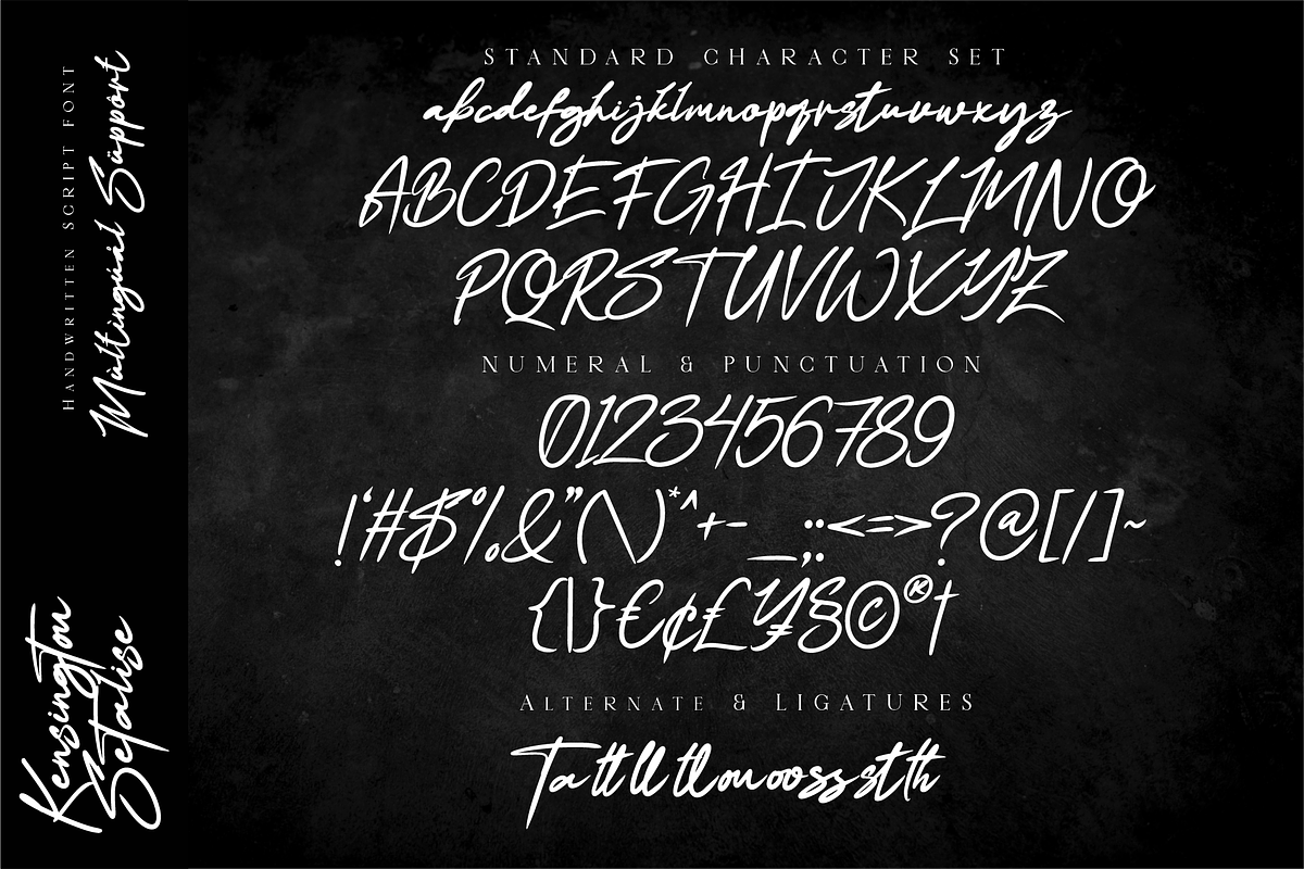 Kensington Setalise Stylish Script, a Script Font by Ronny Studio (Photo 9 of 10)
