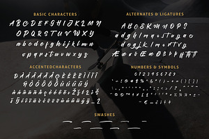 Brothership - Freestyle Brush Font