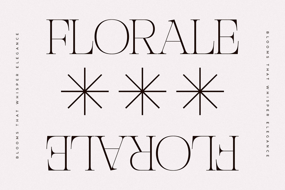 Nocashe New Display Serif Font, a Serif Font by Storytype Studio (Photo 11 of 15)