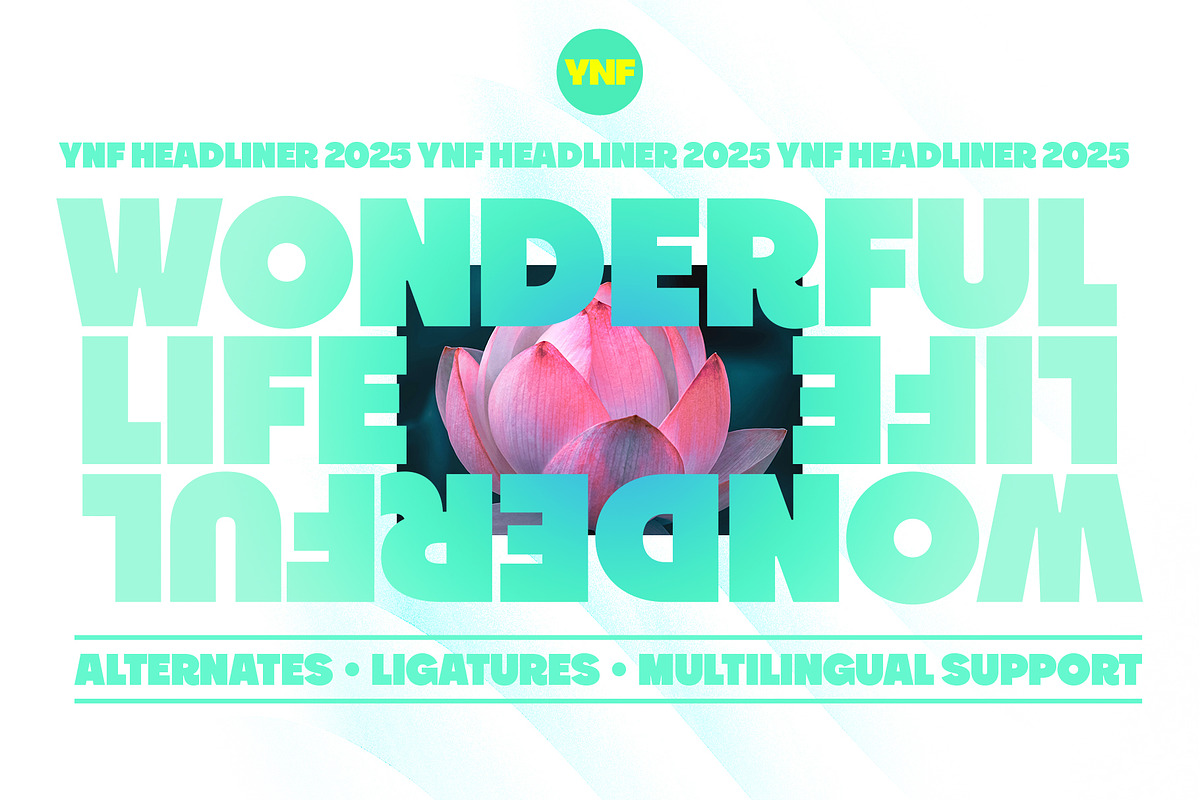 YNF Headliner | Wonderful sans serif, a Sans Serif Font by YNF (Photo 1 of 24)