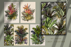 Tropical Foliage Art Prints, a Decorative Illustration by Jeanna Draw