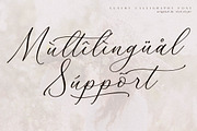 Whitley Pattrycia Luxury Calligraphy, a Script Font by Storytype Studio (Thumbnail 10 of 12)