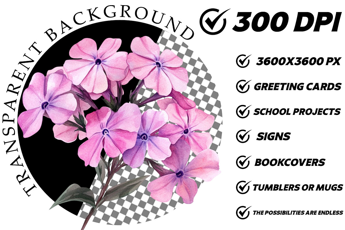 Wildflower Watercolor Flower Clipart, an Illustration by DreamCafeArt (Photo 8 of 8)