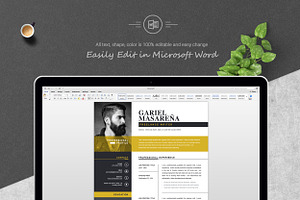 Professional Word Resume CV Template