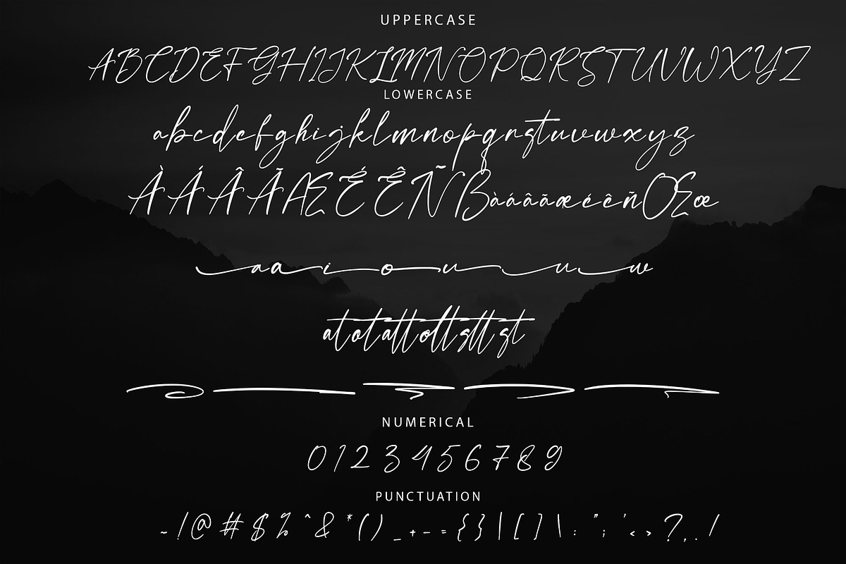 Vastoria Elegant Script Font, a Script Font by NTC Graphic (Photo 7 of 8)