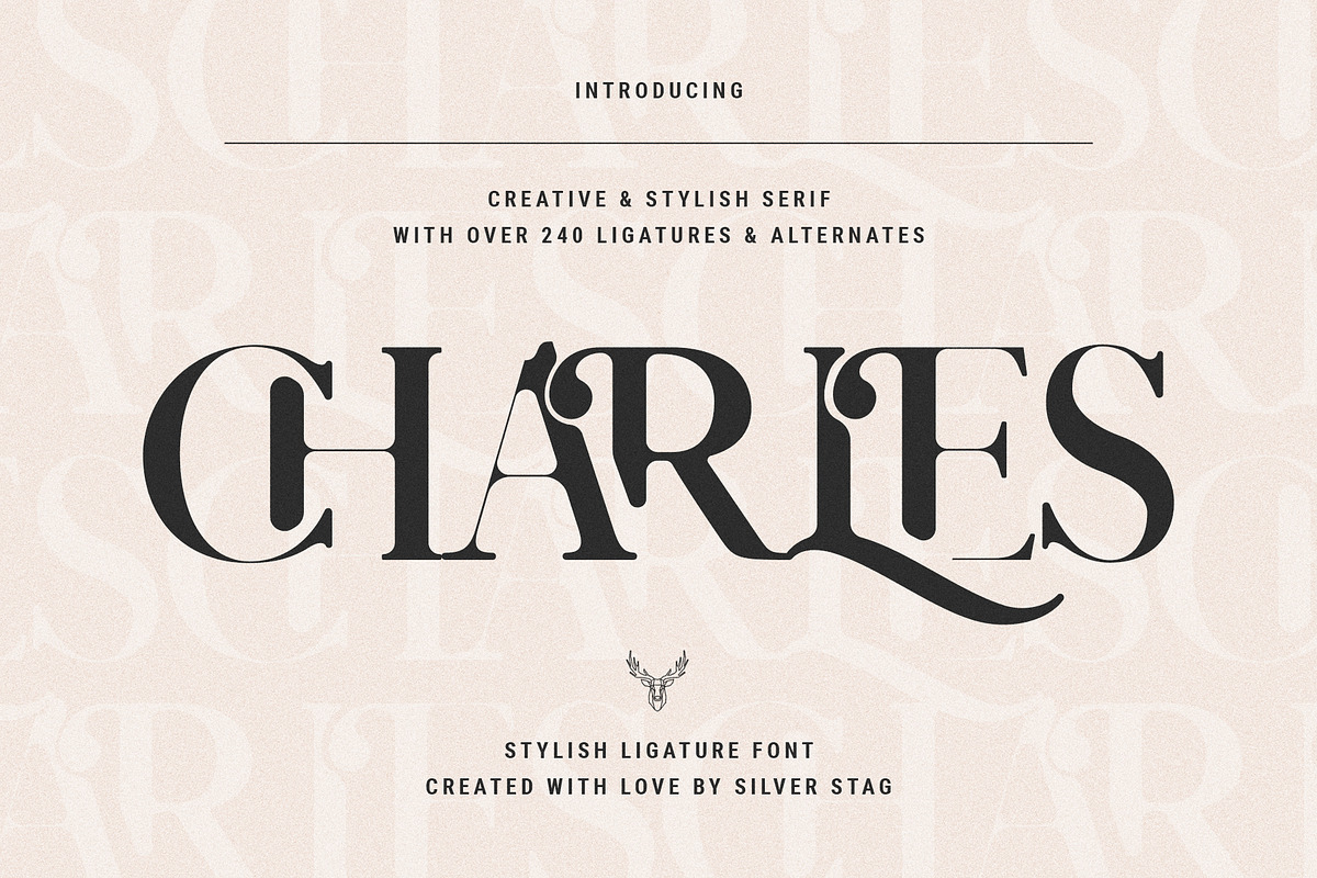 Charles - Chic Ligature Serif Font, a Serif Font by SilverStag Type Foundry (Photo 31 of 31)