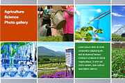 Colorful Template For Any Use, a Templates & Theme by Iconography - Pitch Deck (Thumbnail 28 of 36)