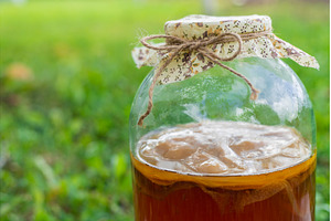 Kombucha in a jar at home. Selective, a Food & Drink Photo by yanadjana
