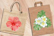 Watercolor tropical elements, an Animal Illustration by AV Design (Thumbnail 10 of 12)