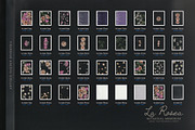 La Rosea — Botanical Floral Ephemera, a Background Graphic by nadispasibenko (Thumbnail 8 of 8)