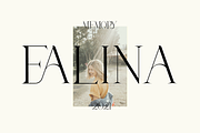 Faesa Breages, a Serif Font by Muksal Creative (Thumbnail 2 of 8)