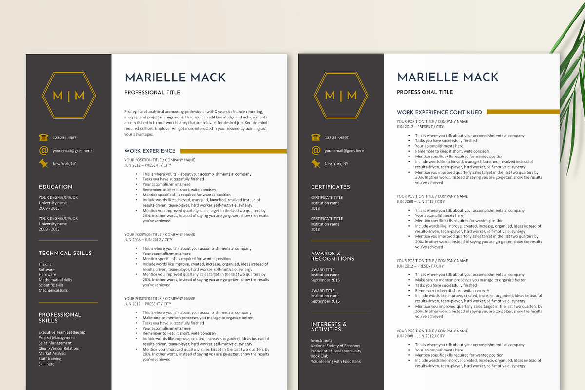 Elegant Resume Template, a Resume Template by Stanin Studio (Photo 2 of 10)