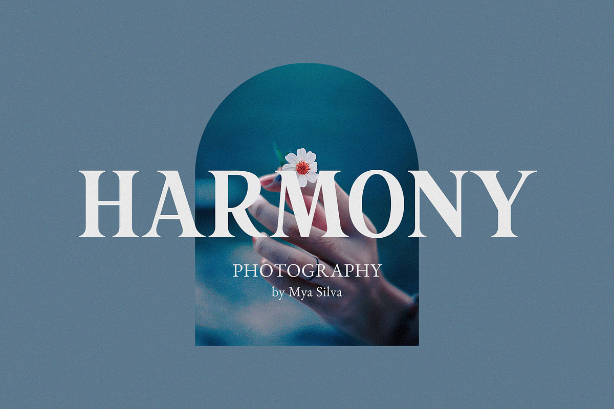 Rakonde - Classy & Stylish Serif, a Serif Font by TypeLogue (Photo 2 of 5)