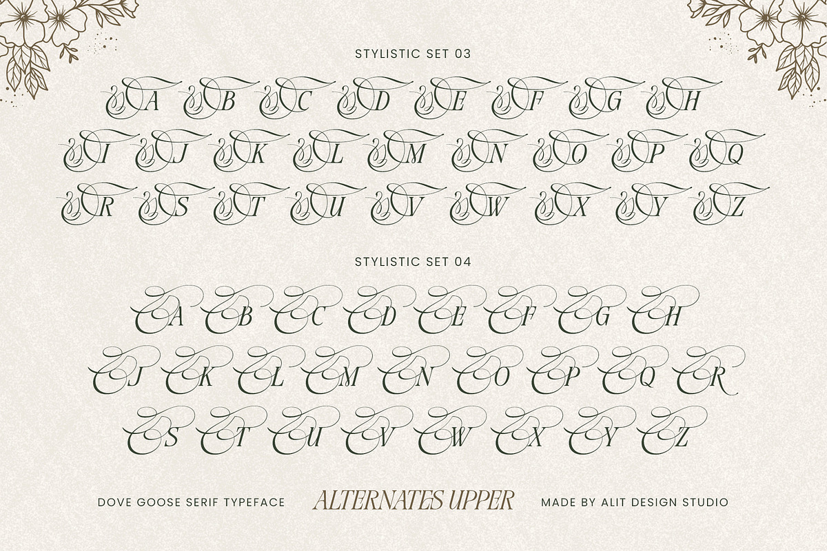 Dove and Goose Typeface, a Serif Font by alit design (Photo 9 of 20)