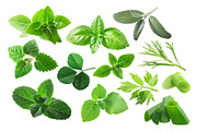 Fresh Herbs, an Object Graphic by Hortimages (Thumbnail 1 of 2)