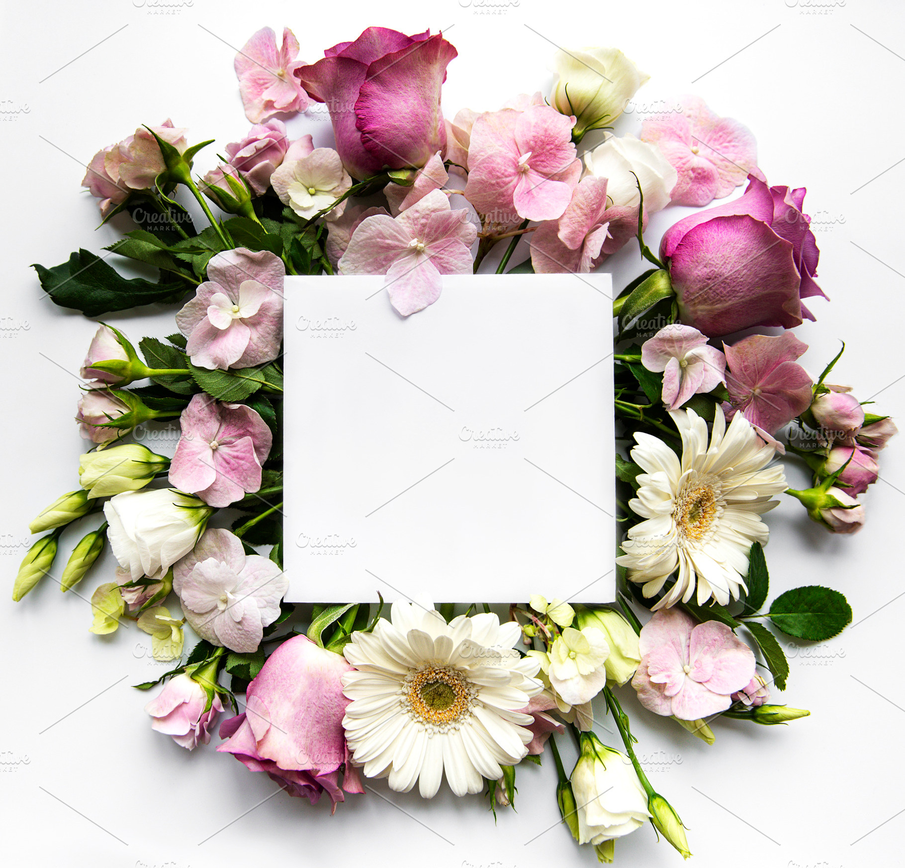Pink flowers in  frame with white sq stock photo containing square and rose, a Holiday Photo by Olena Rudo