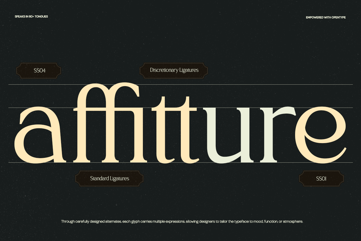 TRT Northem – Elegant Serif Font, a Serif Font by truetype (Photo 13 of 15)