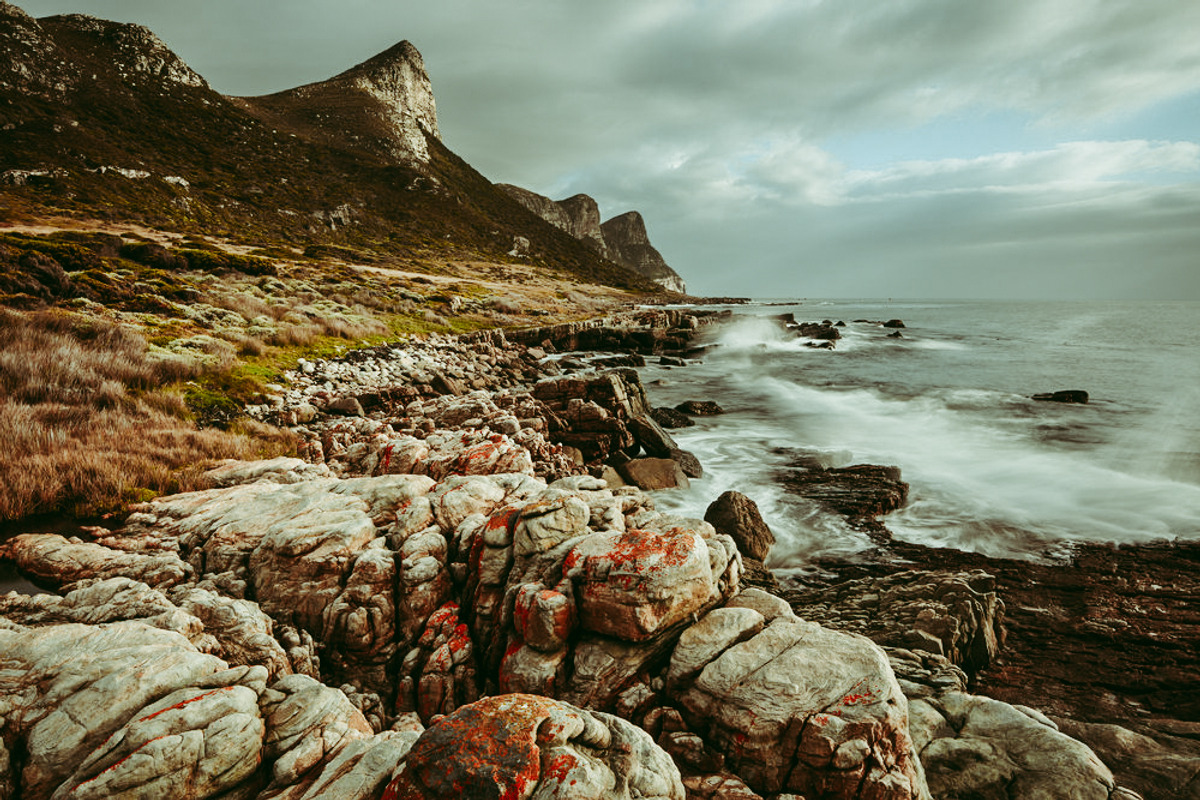 Film Lightroom Presets, an Action Add-On by Bamboobear Books Shop (Photo 2 of 7)