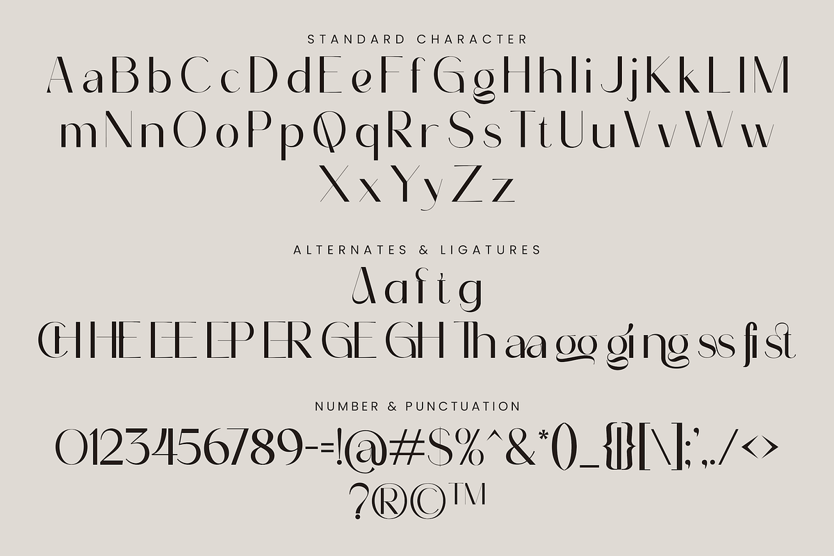 Amnegia - Beauty Elegant Sans Serif, a Sans Serif Font by PuriCreative (Photo 4 of 10)