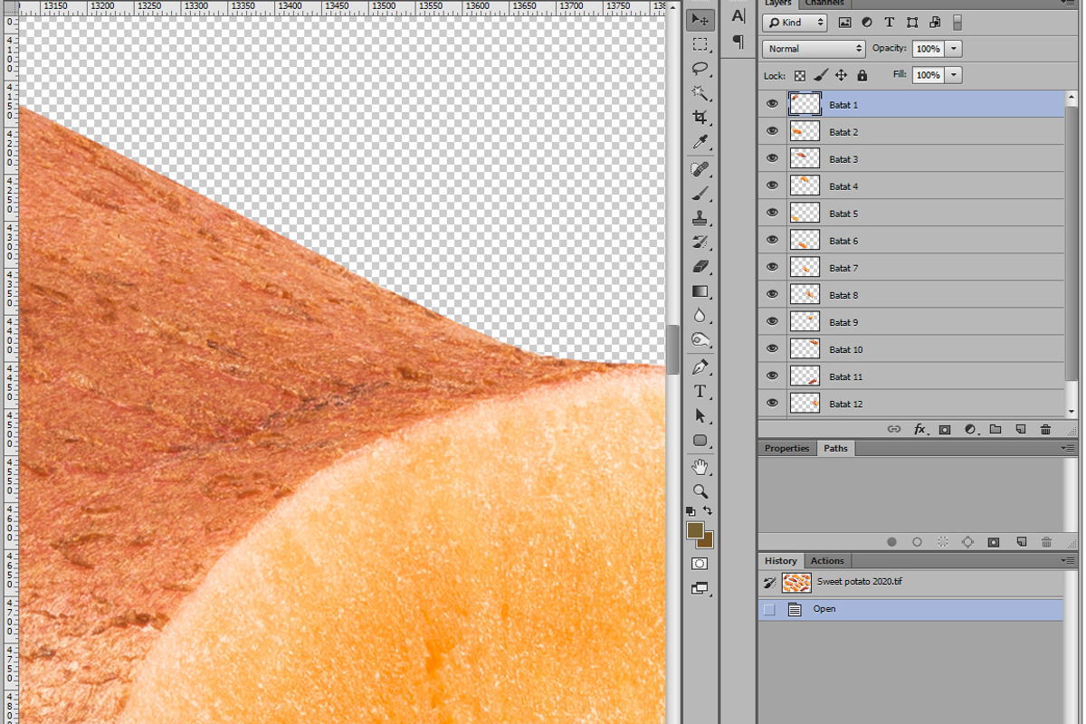 Sweet potato, an Object Graphic by Hortimages (Photo 2 of 2)