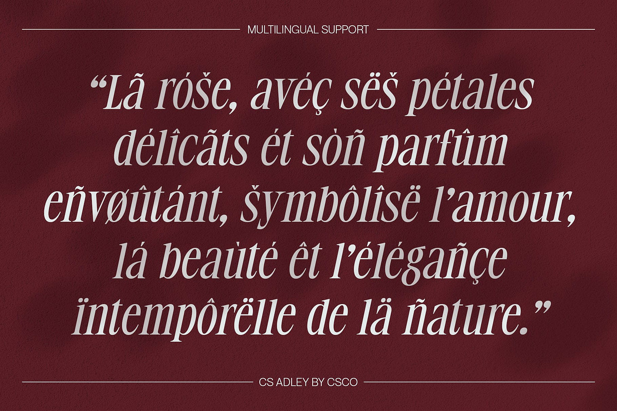 CS Adley – Elegant Font, a Serif Font by Craft Supply Co. (Photo 6 of 8)