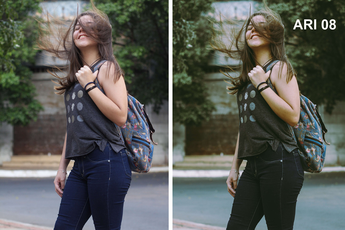 Ariel Bourgoing Presets Film & Moody, an Action Add-On by Bourgoing Presets (Photo 9 of 11)