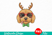 Golden doodle Christmas PNG, an Illustration by Watercolor design (Thumbnail 1 of 3)