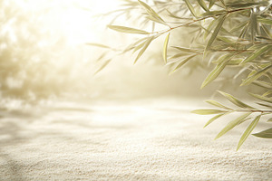 Olive tree branches over soft sand with sunlight and shadows, na, a Photo by Dvoevnore photos