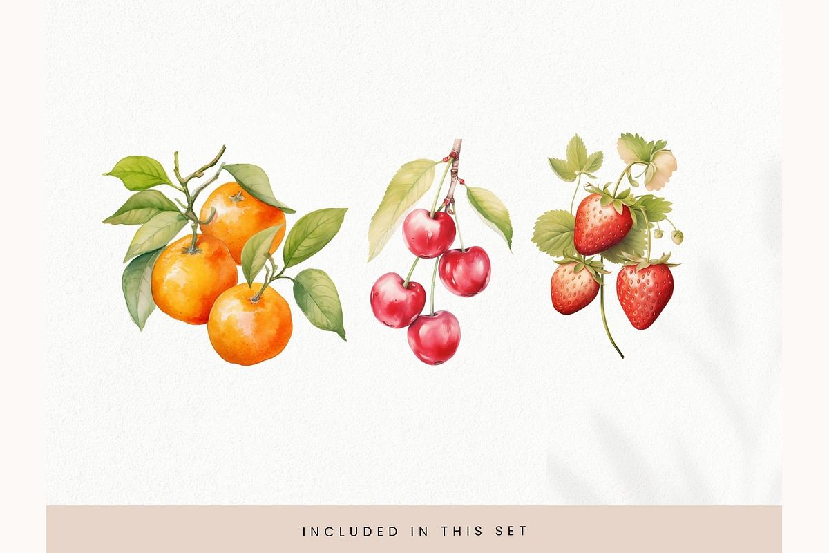Watercolor Fruit Clipart, Fresh PNG, a Decorative Illustration by illuztrate (Photo 2 of 13)