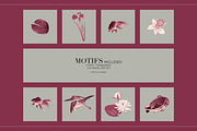 Qing Court Botanical Patterns, a Pattern Graphic by LEAFure (Thumbnail 6 of 9)