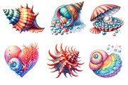 Ocean Sea Shell Sublimation Clipart, an Illustration by Dream Creation (Thumbnail 5 of 6)