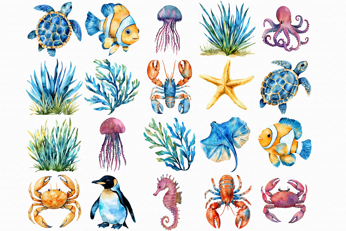 Watercolor Ocean Animals Clipart, an Illustration by Libby Wishes (Photo 2 of 7)