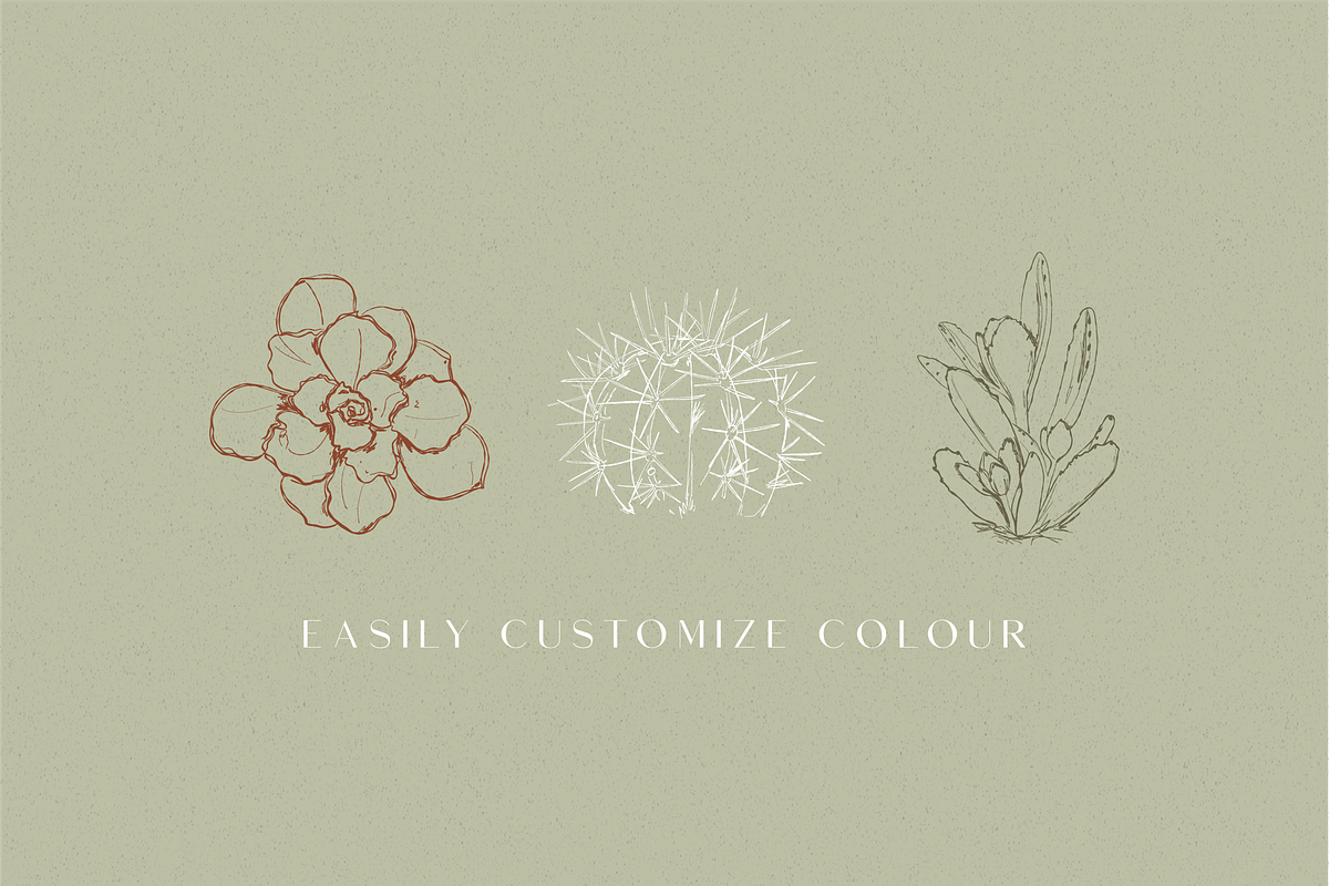 Line Art Succulent Illustrations, a Decorative Illustration by CL Creative Studio (Photo 5 of 10)